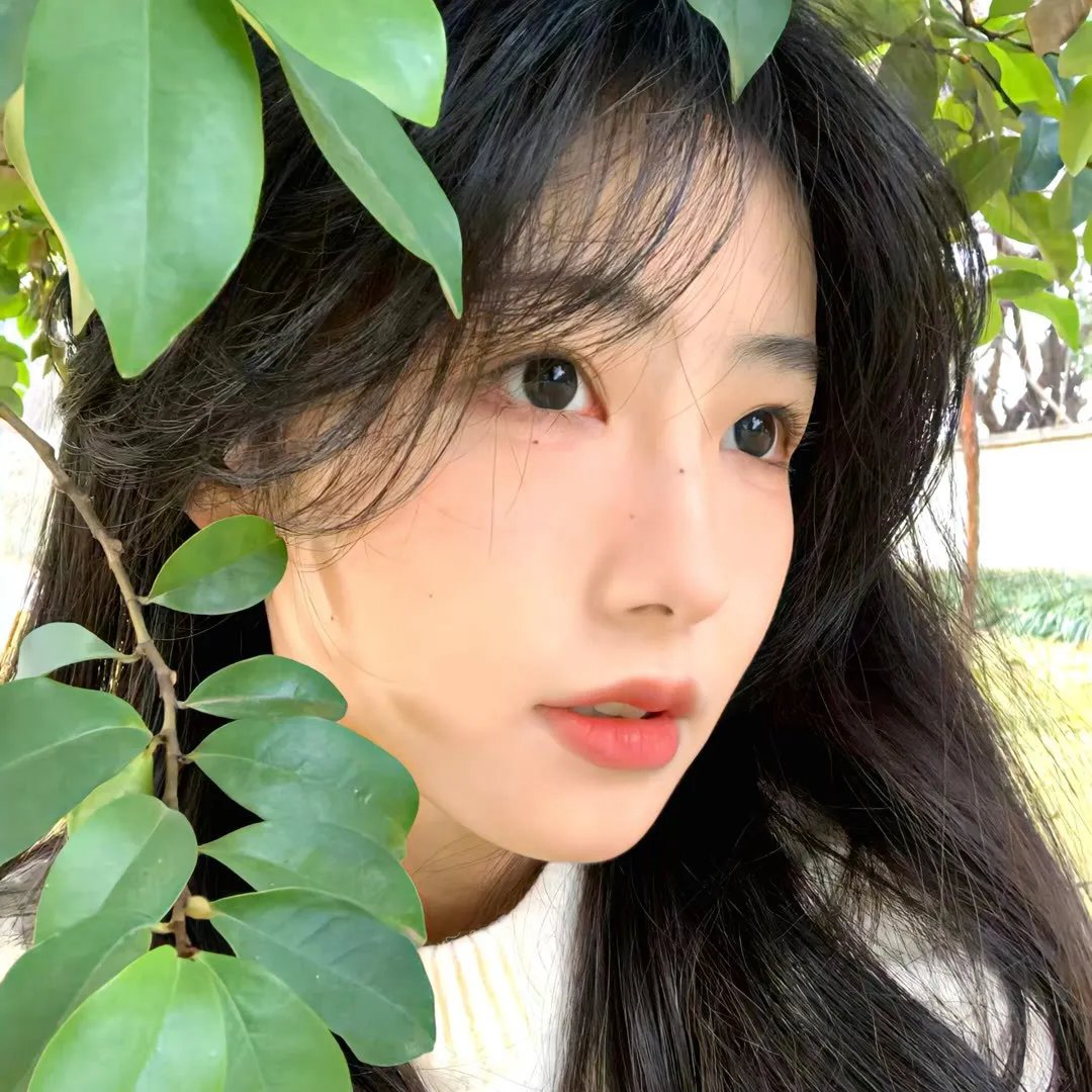 蓝蝶飞舞