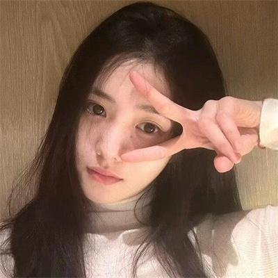 庇护棕榈树下